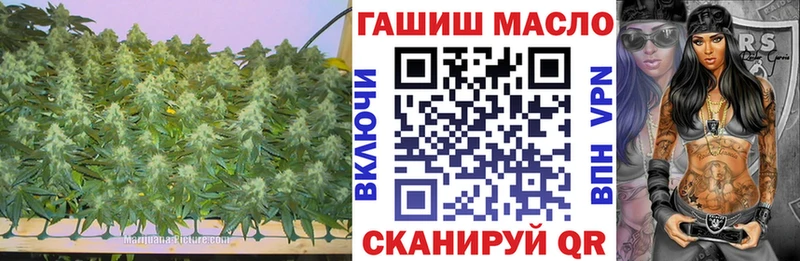 где найти Ейск ТГК THC oil